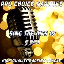 Sing the Hits of U2